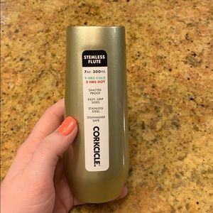 Corkcicle Stemless Flute